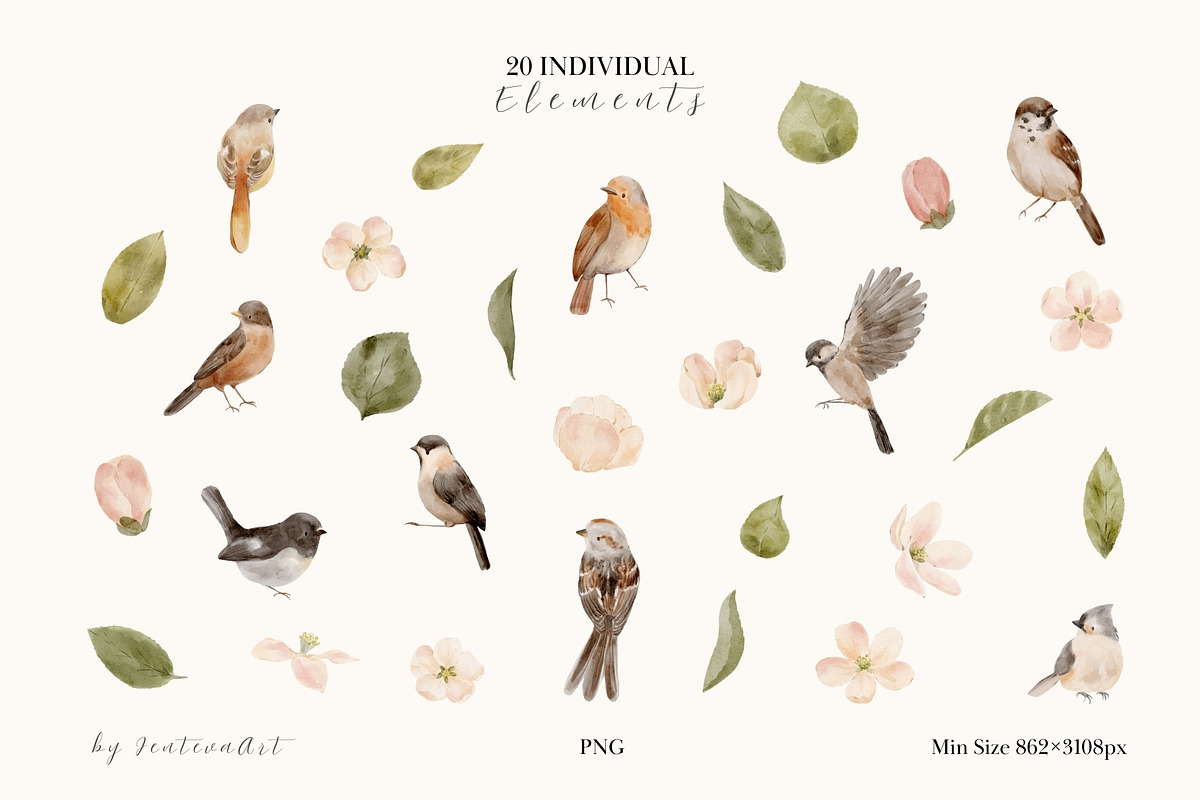 Watercolor Spring Birds & Blossoms, an Animal Illustration by Jenteva Art (Photo 16 of 17)