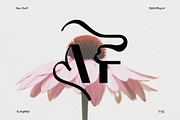 Geogic - Elegant Font, a Sans Serif Font by Boril Std (Thumbnail 9 of 12)