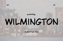 Bold & Modern Stylized Display Font