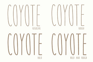 Coyote A Playful Font