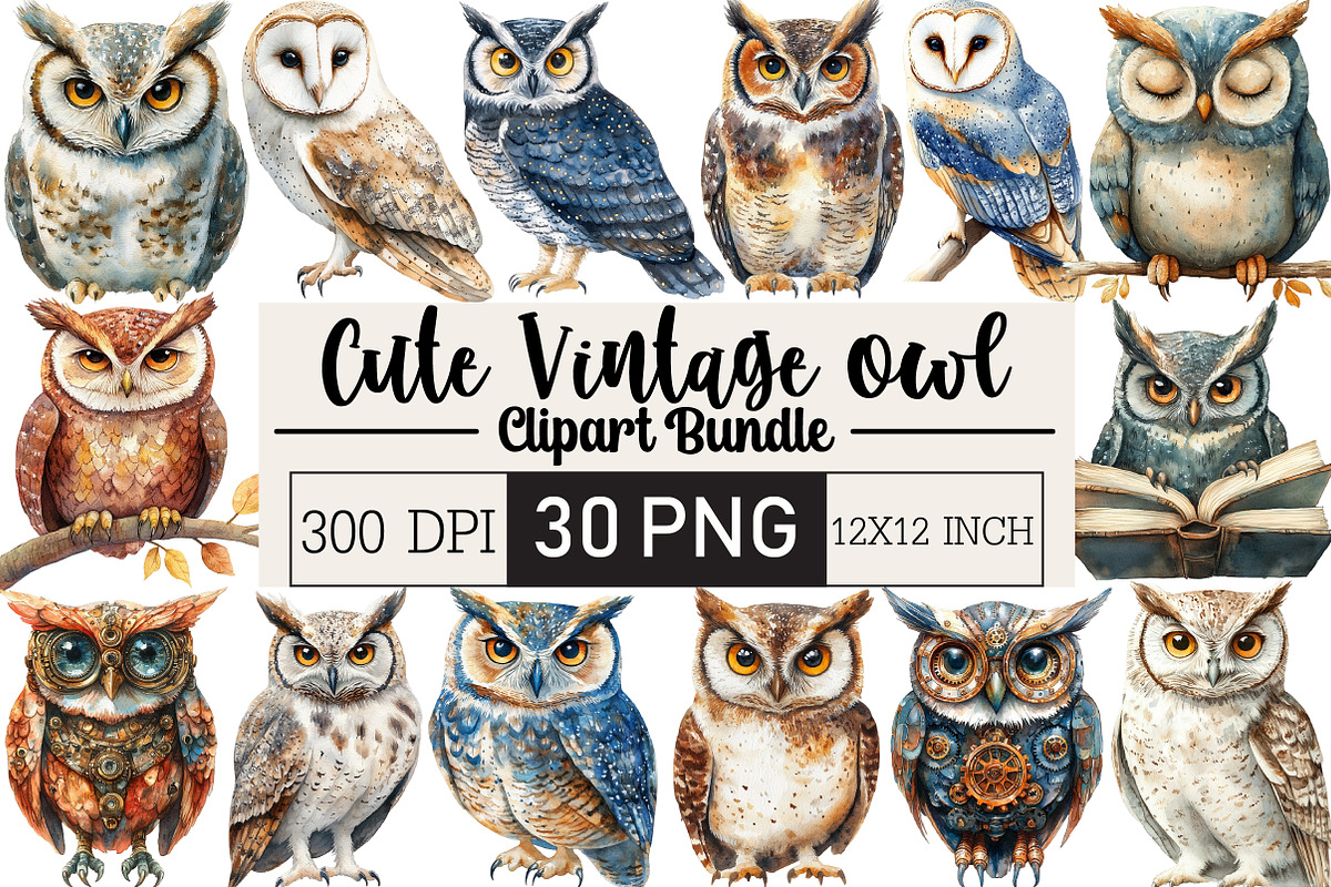 Vintage Owl Clipart, an Illustration by Black Bird Studio (Photo 1 of 6)