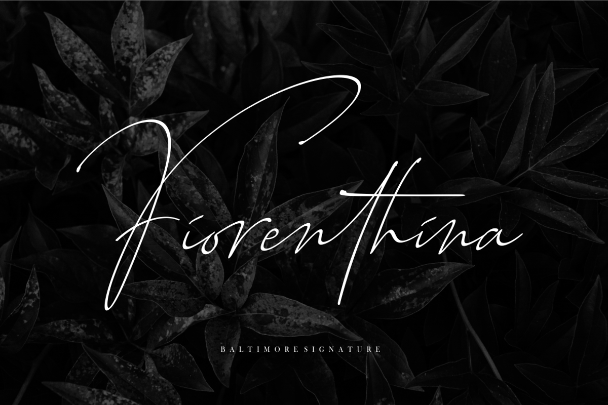 Baltimore - 4 Font Family preview 4