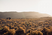 10 Roadtrip Lightroom Presets, an Action Add-On by Vanartist Presets (Thumbnail 4 of 10)