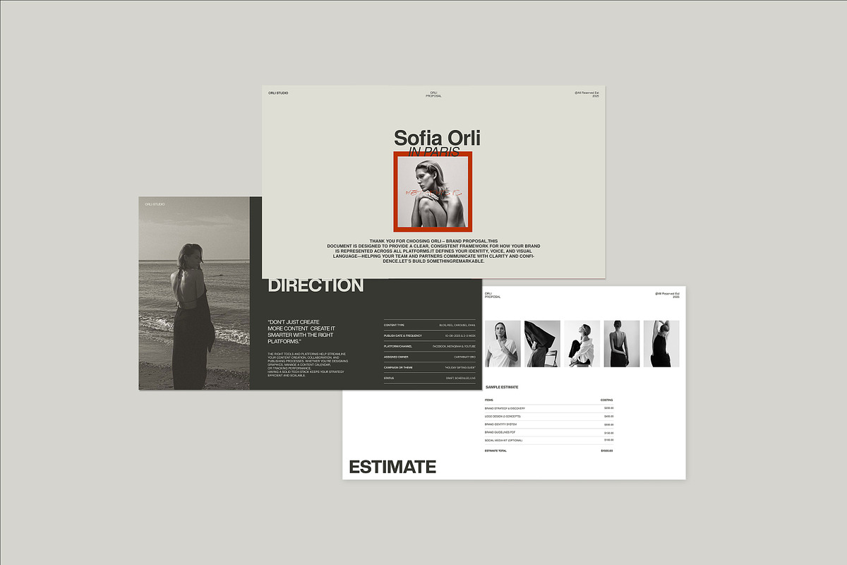 ORLI | Brand Proposal Template preview 3
