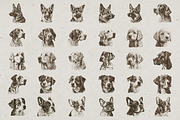 Dog Breeds Portrait Illustrations, an Animal Illustration by Nocturnal Wolf (Thumbnail 2 of 12)