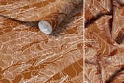 Tropical abstract leaves, a Decorative Illustration by Jeanna Draw (Thumbnail 4 of 15)