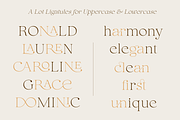 Puanto, a Serif Font by Larin Type Co. (Thumbnail 5 of 15)