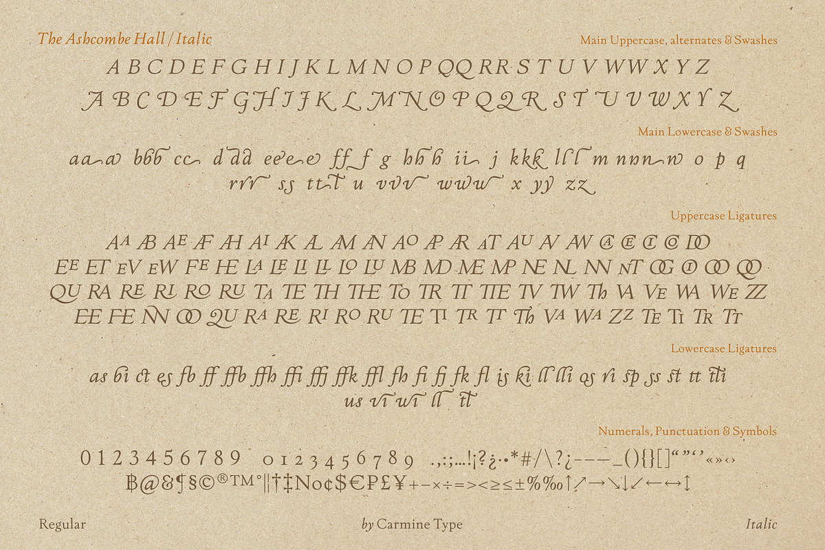 The Ashcombe Hall Oldstyle Serif, a Serif Font by CarmineType (Photo 20 of 24)