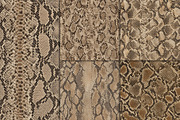 Realistic Snake Skin Patterns, a Pattern Graphic by Artonix (Thumbnail 4 of 4)