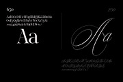Reichamerina font family, a Serif Font by Ryul Davidson (Thumbnail 16 of 27)