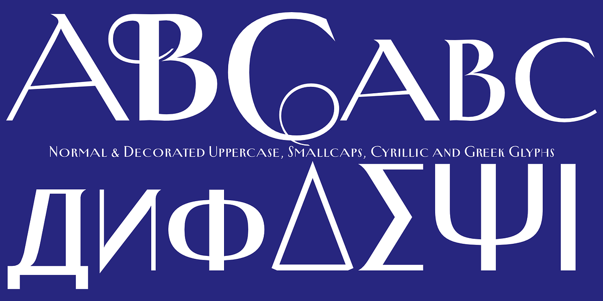 New Yorker Type Pro, a Serif Font by Wiescher-Design (Photo 6 of 8)