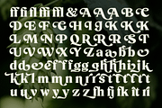 Beckenham Retro Serif, a Font by Fenotype (Thumbnail 11 of 14)
