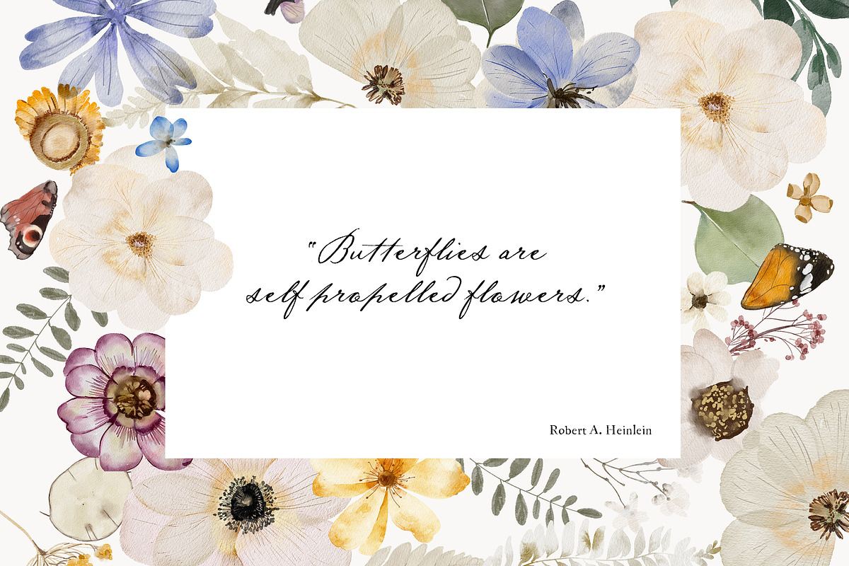 The Art of Ephemeral, an Illustration by Isabelle Salem (Photo 2 of 12)