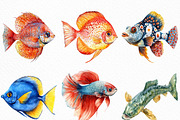Watercolor Fishes Clipart, an Illustration by Craft Nest (Thumbnail 3 of 6)
