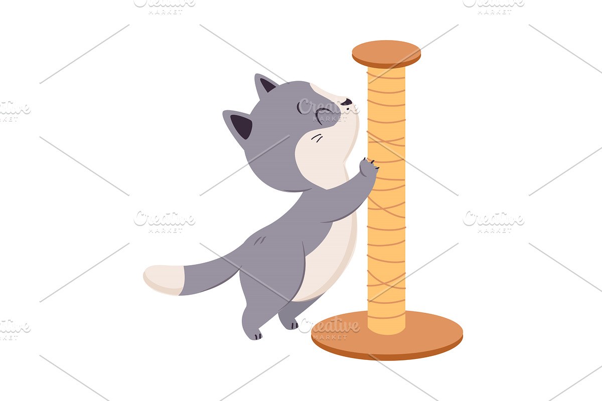 Cute Cat with Grey Coat Scratching, an Animal Illustration by TopVectors