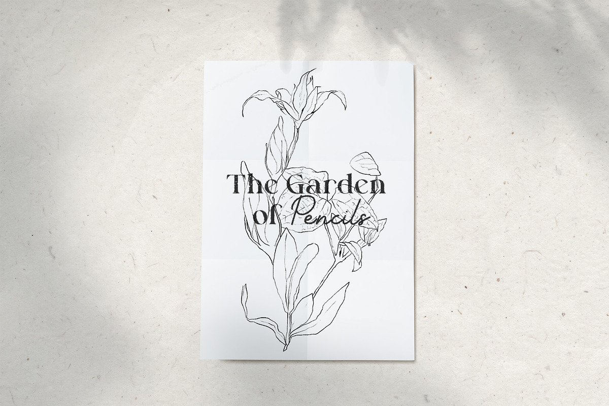 Pencil-drawn flowers, a Decorative Illustration by Damian Roh (Photo 7 of 21)
