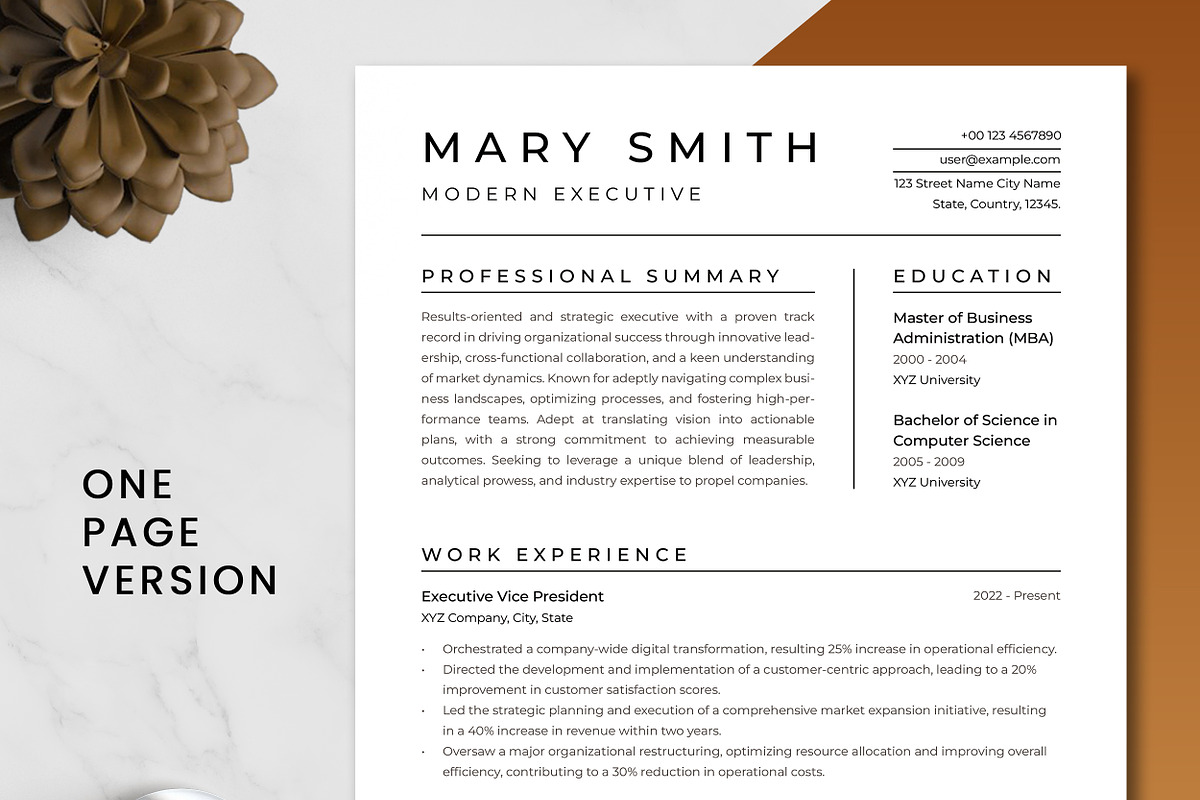 Modern Executive Resume Template, a Resume Template by ResumeInventor (Photo 2 of 9)