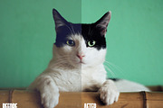 Lighting adjustment Photoshop action, an Action Add-On by Vicky's Place (Thumbnail 6 of 7)