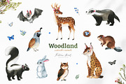 Woodland. Cute forest collection., an Animal Illustration by Kate_Rina (Thumbnail 2 of 15)