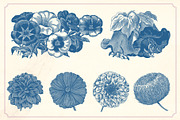 Vintage Flower Illustrations, a Decorative Illustration by Mr Vintage (Thumbnail 9 of 13)