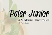 Peter Junior, a Handwritten Font by AleraStudio (Thumbnail 1 of 6)