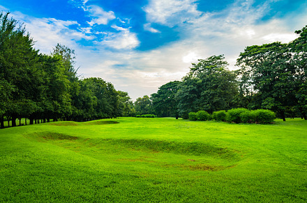 park