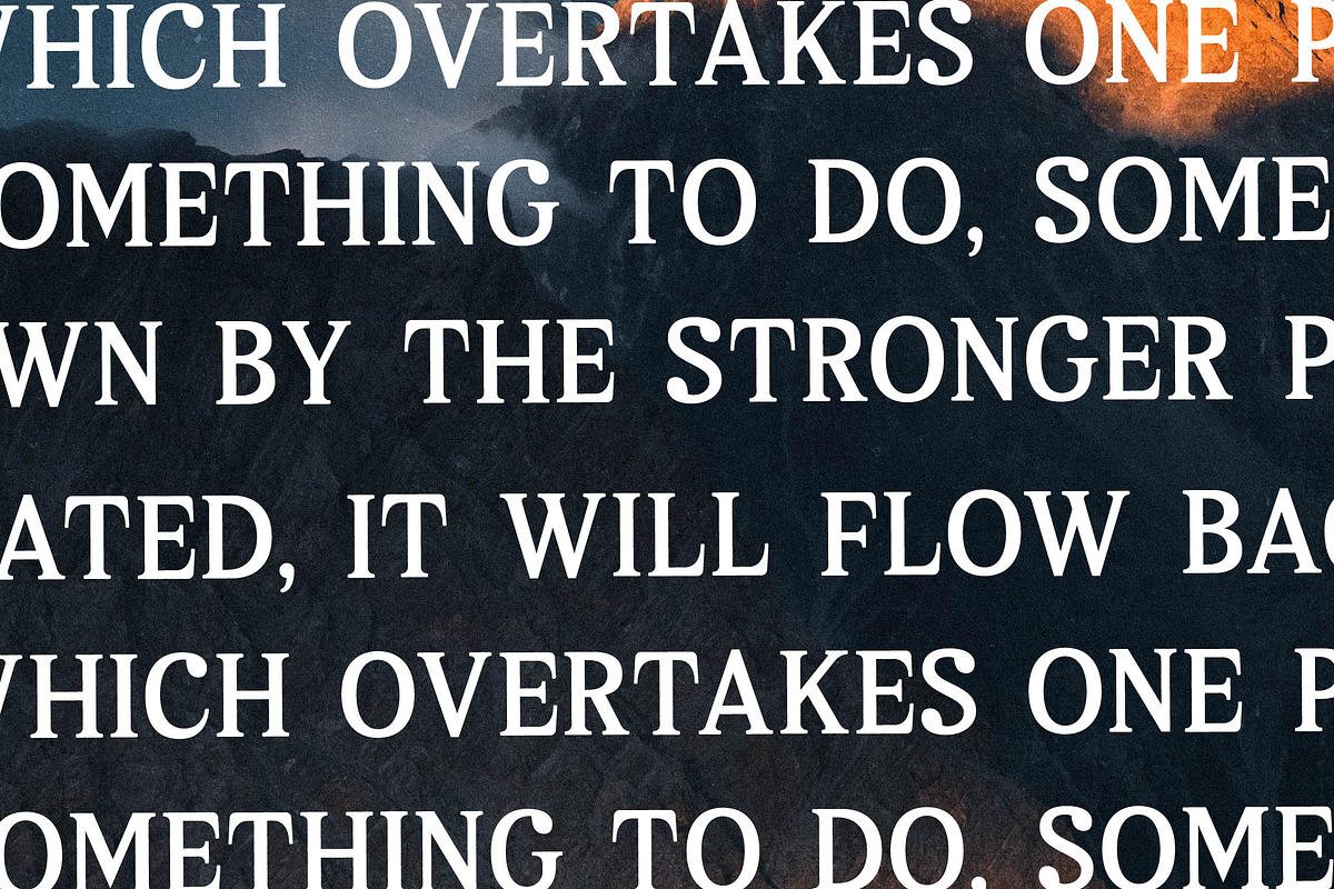 Melton Bronze Timeless Display Serif, a Serif Font by Storytype Studio (Photo 5 of 15)