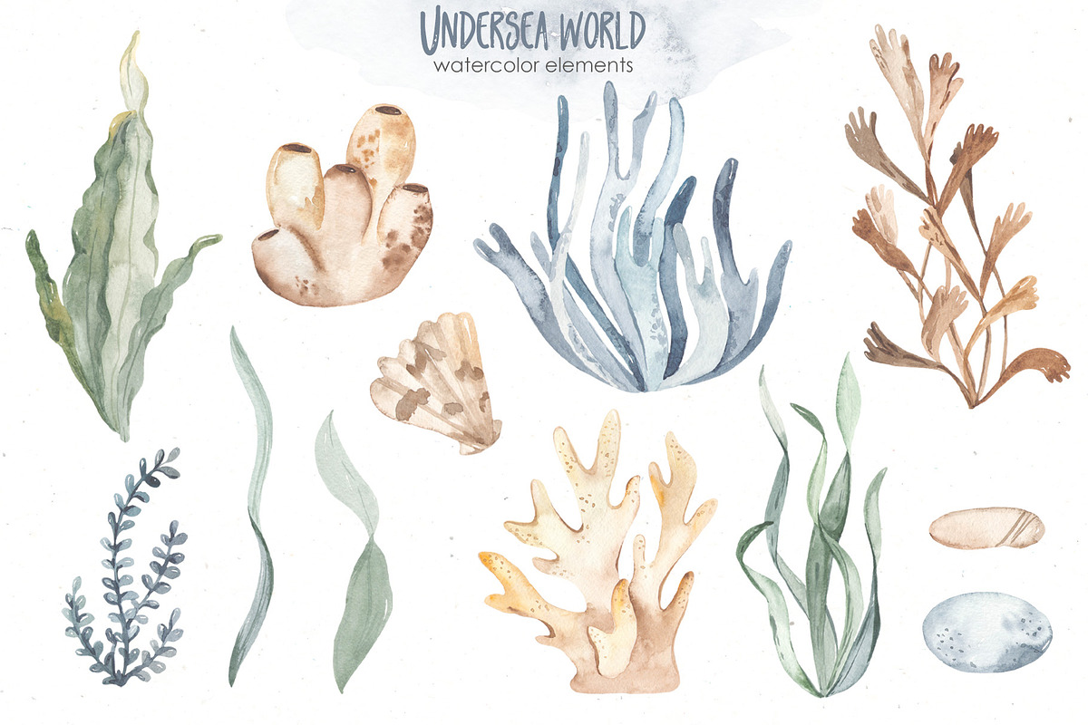 Undersea world Watercolor Part II, an Animal Illustration by Marina Ermakova (Photo 5 of 13)