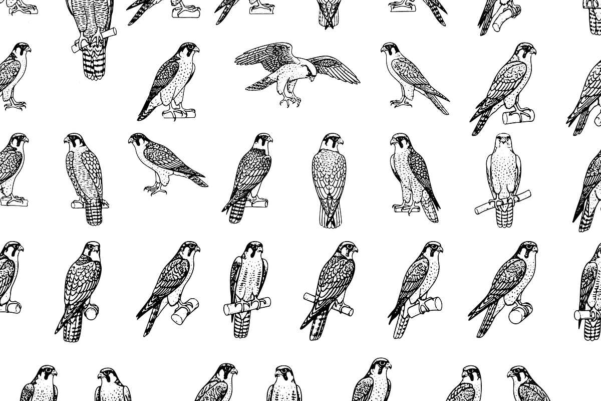 Falcon Engraving Illustration Set, an Object Graphic by RT Studio (Photo 2 of 4)