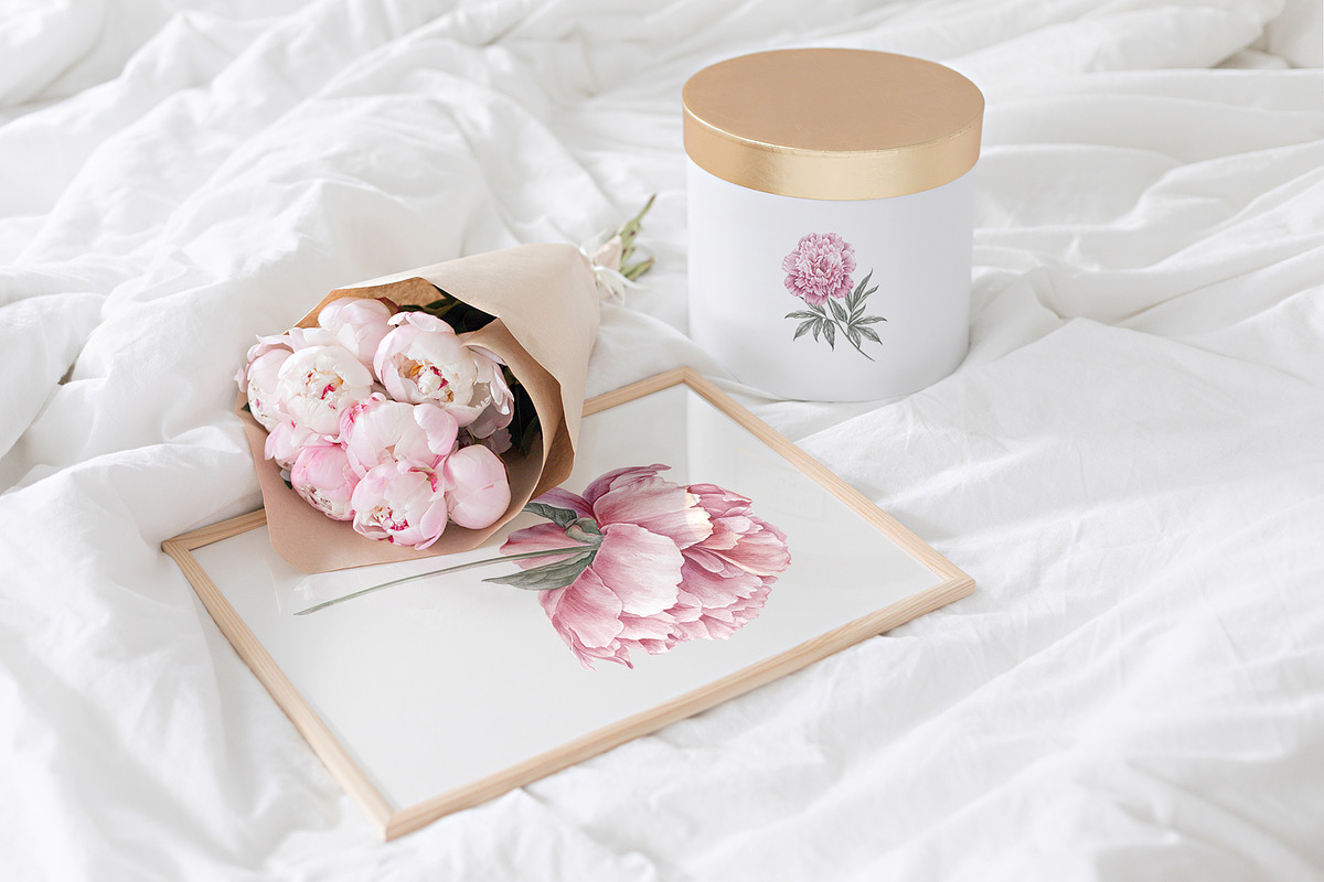 12 Watercolor Peonies PNG, a Decorative Illustration by Kotkoa (Photo 7 of 11)
