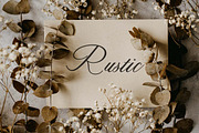 Romance Romantic Serif Font, a Serif Font by UICreative (Thumbnail 13 of 13)