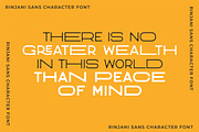 Rinjani Sans - Wide Stretch Typeface, a Sans Serif Font by CCS Type (Thumbnail 4 of 24)