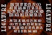 The Western Gold, a Serif Font by Burntilldead (Thumbnail 10 of 11)