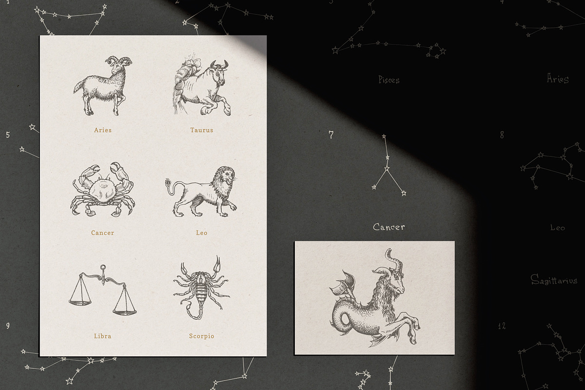 Astrology Zodiac Collection, a Decorative Illustration by Chewie Co (Photo 12 of 15)