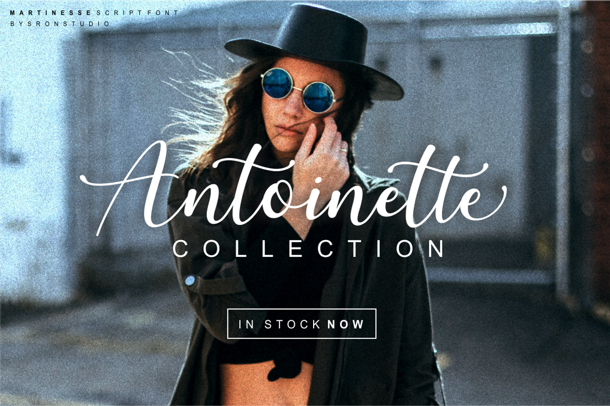 Martinesse - Beautiful Script Font preview 8