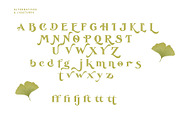 De Ginkgo, a Serif Font by Emyself Design (Thumbnail 12 of 16)