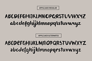 Applejack - A brush font trio, a Script Font by Great Scott! (Thumbnail 7 of 8)