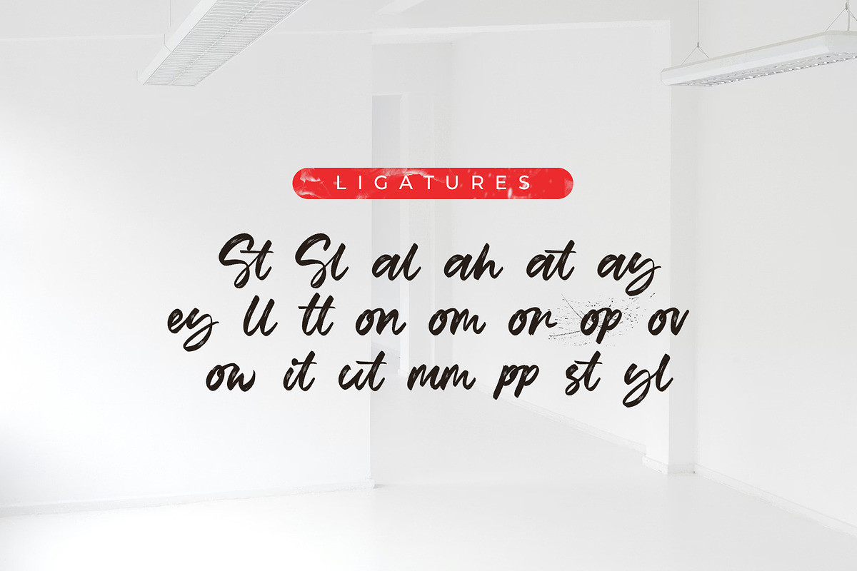 Bylast Script, a Script Font by khurasan (Photo 6 of 7)