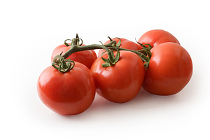 Fresh Tomatoes on Vine Isolated, a Food & Drink Photo by Davizro's Market