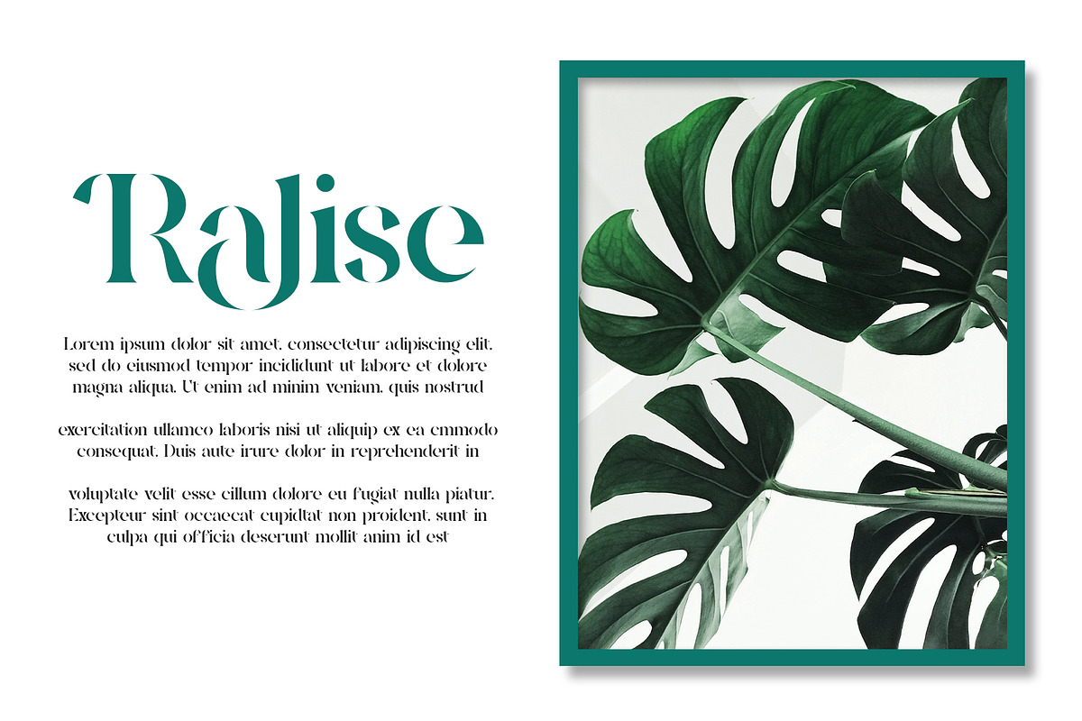 Negita Serif Font, a Serif Font by Idea Studio (Photo 5 of 12)