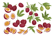 Exotic passion fruit, hand-drawn set, a Food Illustration by Good Studio (Thumbnail 2 of 3)