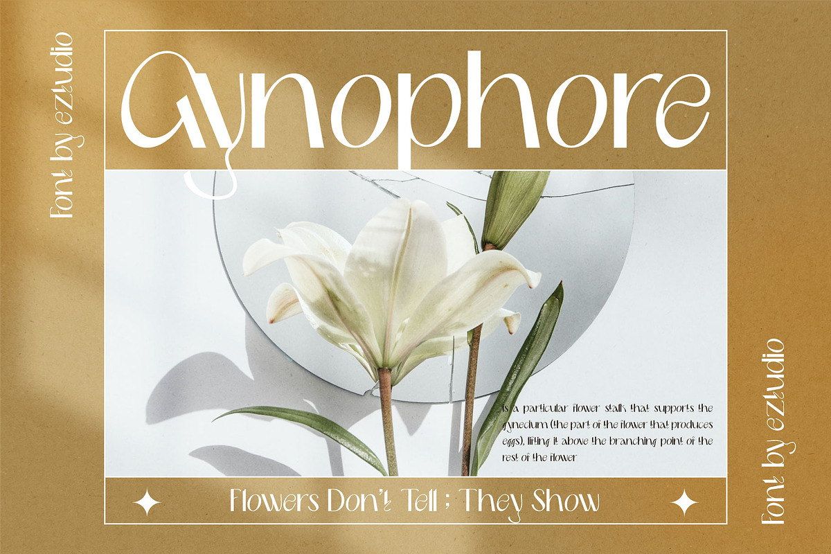 Delmera - Retro Font, a Sans Serif Font by Eztudio (Photo 5 of 12)