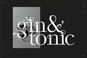 Vineyard - Serif Typeface, a Serif Font by Tropical Type (Thumbnail 3 of 10)