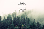 Logo Pack Volume 5. Florals, a Branding & Logo Template by Mint Air Studio (Thumbnail 3 of 21)