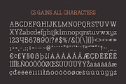 CS Gains – Classic Font, a Serif Font by Craft Supply Co. (Thumbnail 8 of 8)