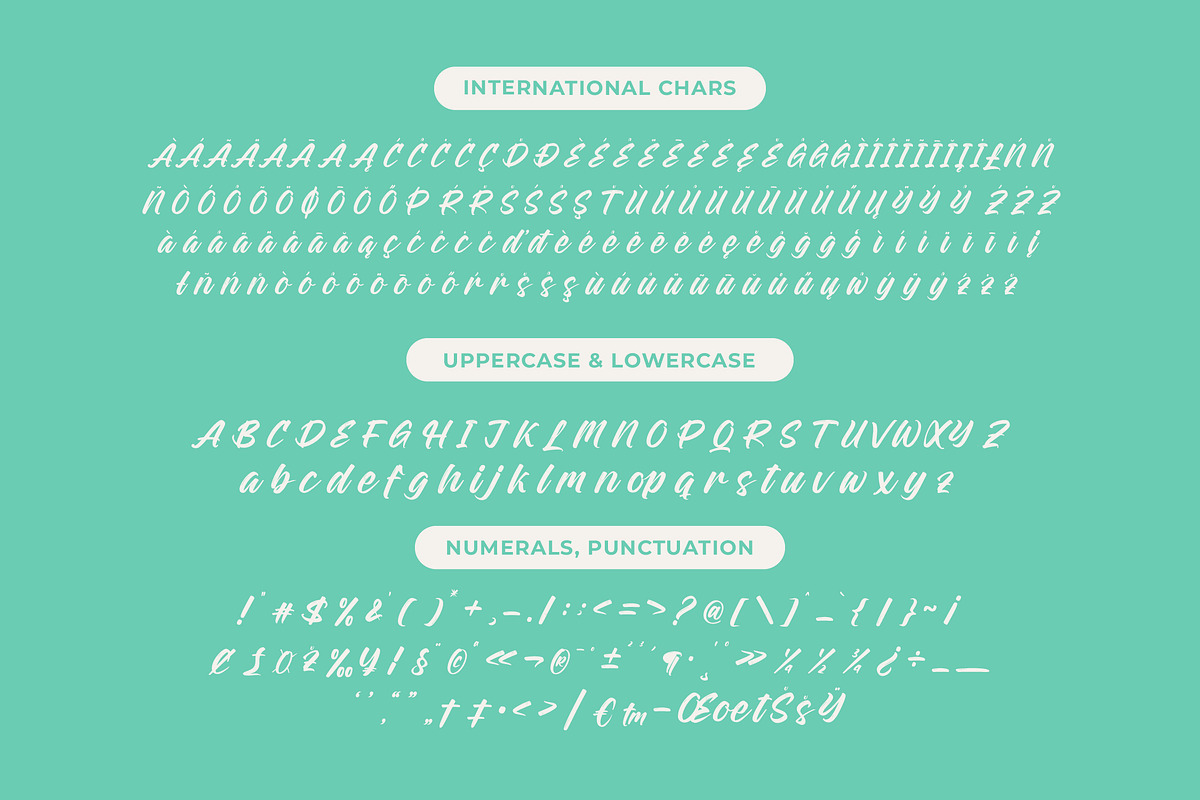 Rough Streak Bold Brush Font, a Script Font by Letterena Studios Script (Photo 18 of 20)