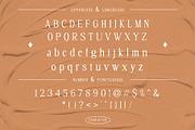 Seigneur - Elegant Serif Font, a Serif Font by Almeera Std (Thumbnail 5 of 7)