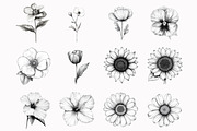 Watercolor Black White Flowers Clipa, an Illustration by Design Market (Thumbnail 2 of 4)