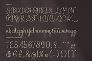 Alphiness | Handwritten Script Font, a Script Font by Denustudios (Thumbnail 13 of 15)