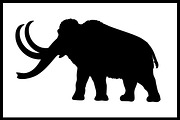 Set 25 silhouettes extinct animals, an Icon by kozyrevaelena (Thumbnail 2 of 4)